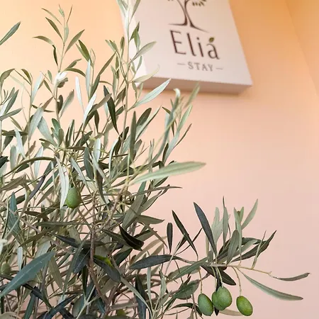 Elia Apartment